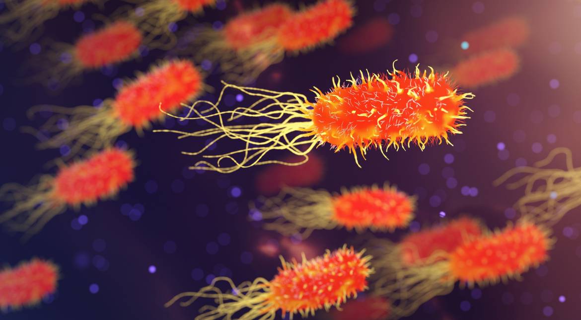 bacteria-3658992.jpg