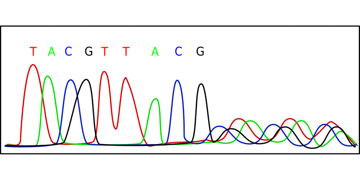 chromatogram-154044_1280.png