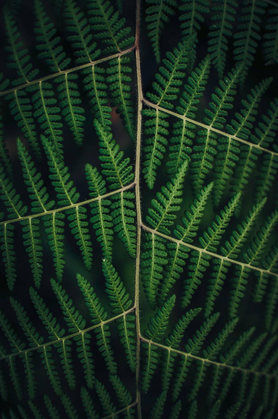 pandu-ior-199157-unsplash.jpg